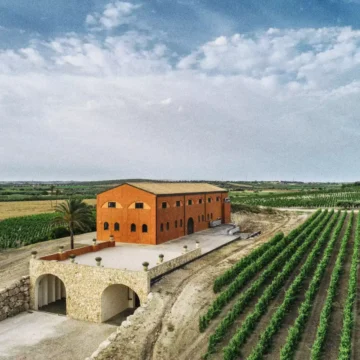 Cantina Feudo Maccari, tra le più grandi realtà vinicole della Sicilia