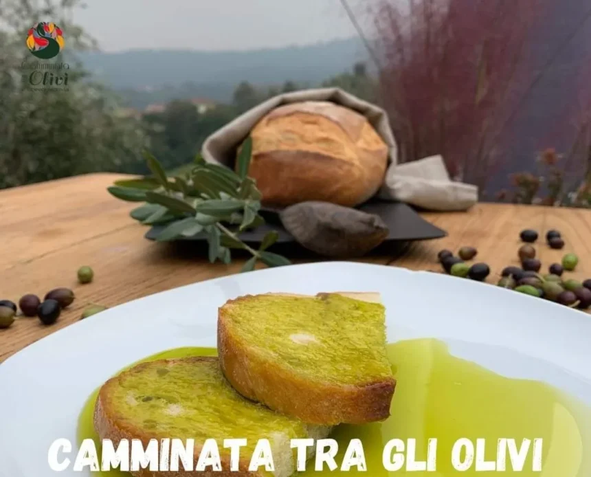 Camminata tra gli olivi: #Abbracciaunolivo in 156 Città dell’Olio