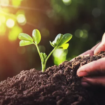 Agricoltura sostenibile: nasce Agricook.it
