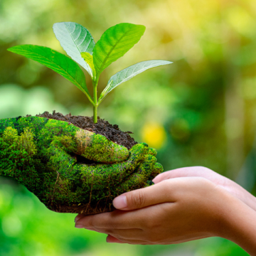 Agroecologia: oggi la sfida ecologica è AGRICOLA