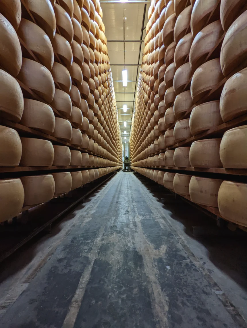 Consorzio Parmigiano Reggiano affida a Different la campagna europea del prossimo triennio