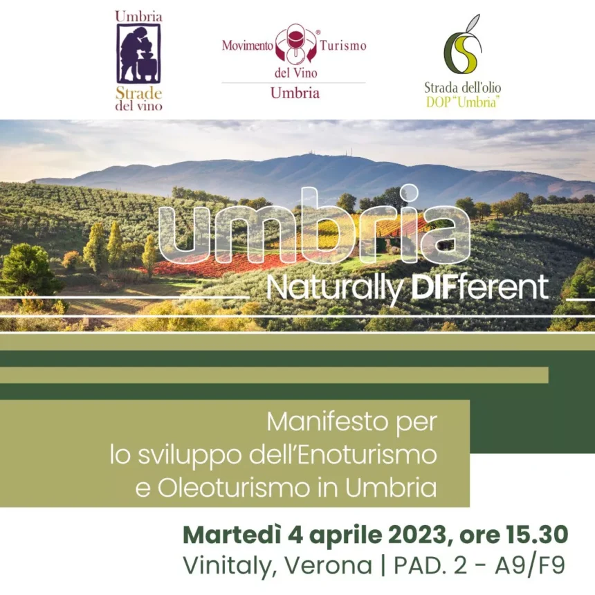 Vinitaly: focus sull’olio extravergine di oliva di qualità dell’Umbria e sulle esperienze di oleoturismo da vivere in Umbria.