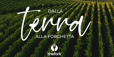 TheFork: italiani sempre più sostenibili, anche a tavola