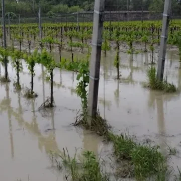 Maltempo, Coldiretti ER: una raccolta fondi per gli agricoltori alluvionati
