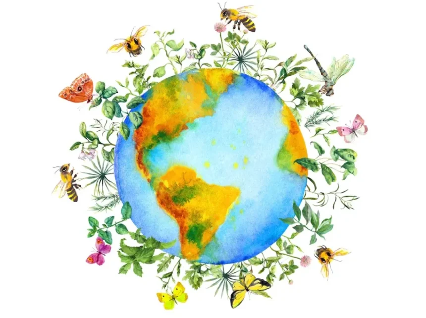 Giornata mondiale della Biodiversità: parte la Campagna “Mangiasano”