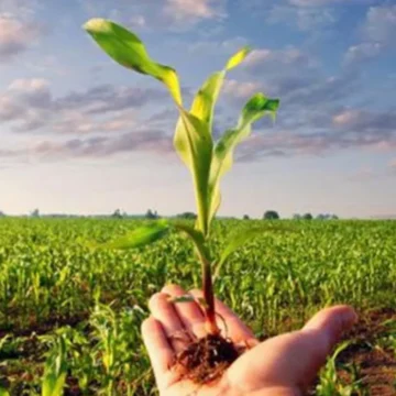 Il libro “Agricoltura tra Sostenibilità e Innovazione”