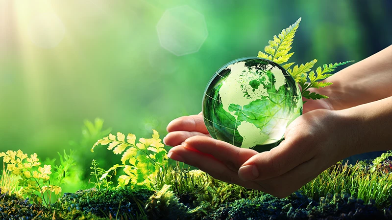 Il 5 giugno 2023 è la Giornata Mondiale dell’Ambiente