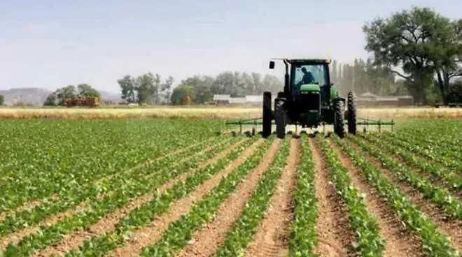 Agroalimentare, ACLI TERRA: al via la Campagna ‘Colture & Culture’