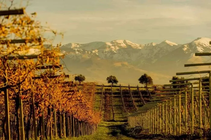 L’Abruzzo in vetta, entra nell’Olimpo del Vino