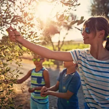 Il futuro del turismo dell’olio d’oliva: “un rapporto completo e un portale dedicato all’Oleotusrismo”
