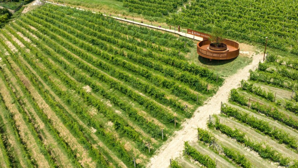 panorama e belvedere Vigna gustava Grinzane Cavour