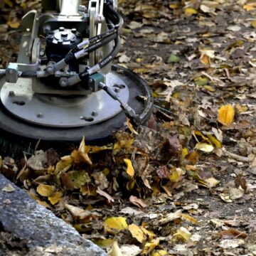 Raccolta foglie a Parma, 16 squadre e turni notturni per l'autunno 2026